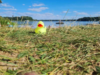 Foto: Nils P&auml;pke  (Bild vergr&ouml;&szlig;ern)