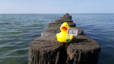 Foto: Bj&ouml;rn Vo&szlig;  (Bild vergr&ouml;&szlig;ern)