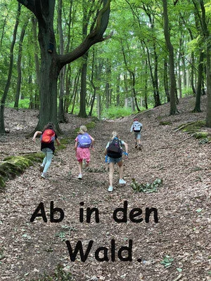 Ab in den Wald  (Bild vergr&ouml;&szlig;ern)