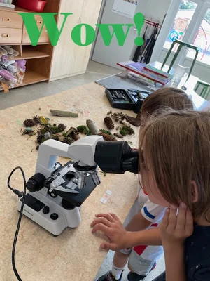 Wow  (Bild vergr&ouml;&szlig;ern)