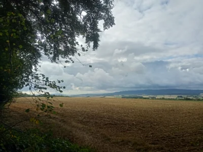 Weit geht der Blick  (Bild vergr&ouml;&szlig;ern)
