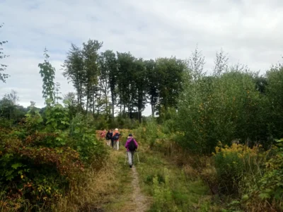 Sch&ouml;ner Weg  (Bild vergr&ouml;&szlig;ern)