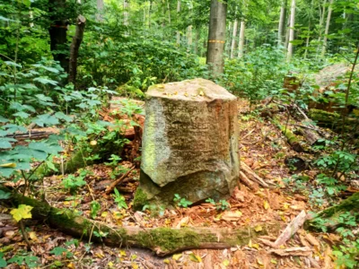 Gedenkstein Beerscher Kamp  (Bild vergr&ouml;&szlig;ern)