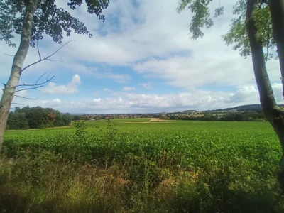 Idyll  (Bild vergr&ouml;&szlig;ern)
