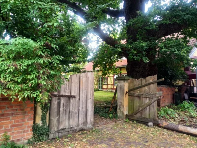 In Wennigsen  (Bild vergr&ouml;&szlig;ern)