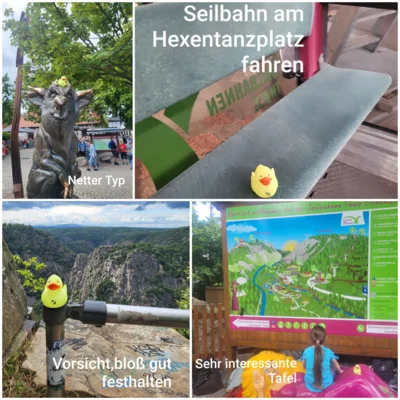 Foto: Kerstin Neubert  (Bild vergr&ouml;&szlig;ern)