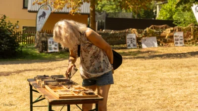 Foto des Albums: Mit dem Vereinszelt zum „Fest des Waldes und der Jagd“, 07./08.September 2024