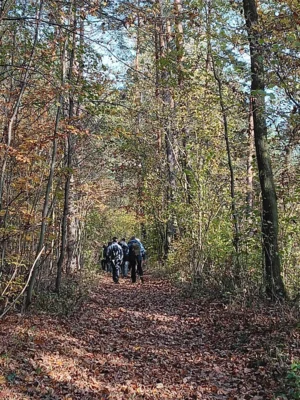 Foto des Albums: Führung am 9. November 2024
