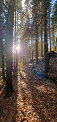 Foto des Albums: In den Fußstapfen meines Großvaters