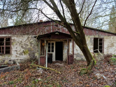 Foto des Albums: In den Fußstapfen meines Großvaters