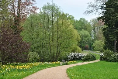 Bild: Auf dem Schulweg zum Schloss, Foto Carolin Binte