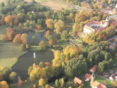 Bild: Der herbstliche Park aus der Luft, Foto Diane Albrecht