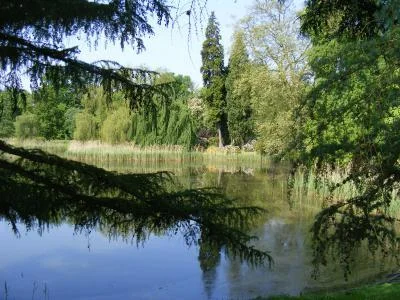 Bild: Gehölzkulisse am Inselteich, Foto Ulrich Jarke