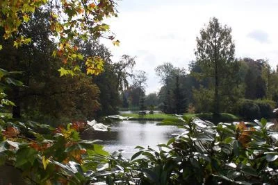 Bild: Sommer im Schlosspark, Foto Dirk Stephan