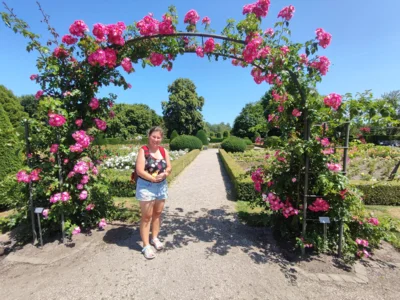 Foto: Jacqueline St&uuml;ckrath  (Bild vergr&ouml;&szlig;ern)