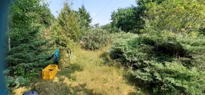 Foto des Albums: Spurensuche, 3. – 5. Juli 2023