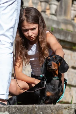 Foto des Albums: „Fest des Waldes und der Jagd“, 10./11.9.2023, Hummelshain