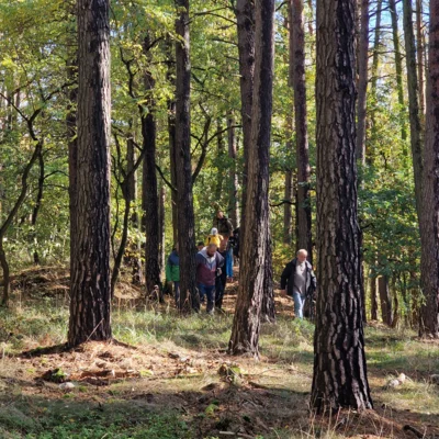 Foto des Albums: Farbige Herbstführung, 22. Oktober 2022