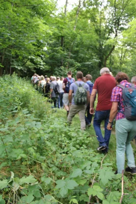 Foto des Albums: Unsere erste Führung, 4. Juli 2021