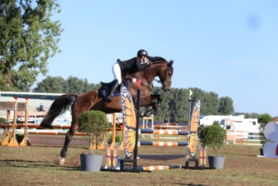 Foto des Albums: Springturnier 2025