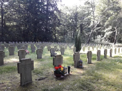 Foto des Albums: Ehrenfriedhof Aachen, Juli 2020