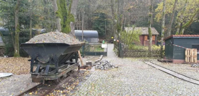 Foto des Albums: Herbstexkursion des Vereins, 1. November 2020