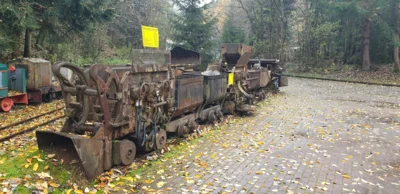 Foto des Albums: Herbstexkursion des Vereins, 1. November 2020