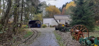 Foto des Albums: Herbstexkursion des Vereins, 1. November 2020