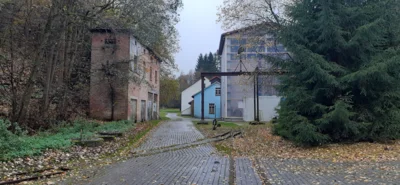 Foto des Albums: Herbstexkursion des Vereins, 1. November 2020