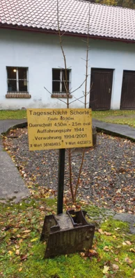 Foto des Albums: Herbstexkursion des Vereins, 1. November 2020
