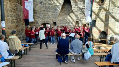 Foto des Albums: Kugelsburgfestival am 31.08.2025