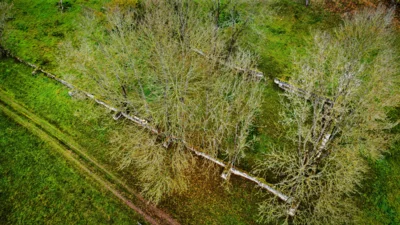 Foto des Albums: Der Walpersberg aus der Vogelperspektive