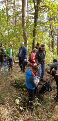 Foto des Albums: Herbstwanderung um den Walpersberg, 3. November 2019