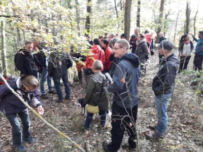 Foto des Albums: Herbstwanderung um den Walpersberg, 3. November 2019