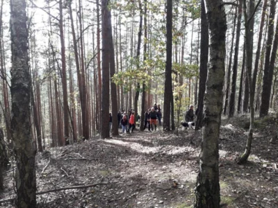 Foto des Albums: Herbstwanderung um den Walpersberg, 3. November 2019
