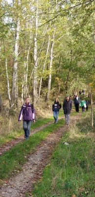 Foto des Albums: Herbstwanderung um den Walpersberg, 3. November 2019