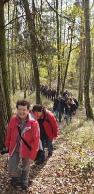 Foto des Albums: Herbstwanderung um den Walpersberg, 3. November 2019
