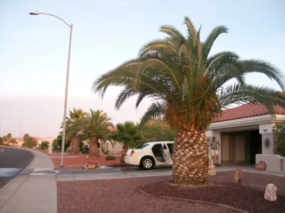 Foto des Albums: Flug nach Arizona, USA