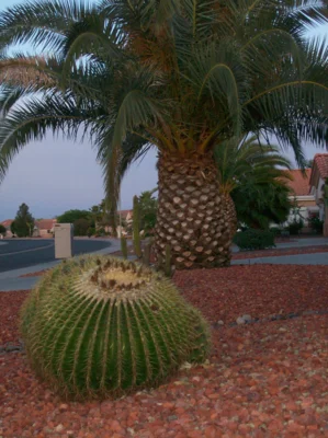 Foto des Albums: Flug nach Arizona, USA