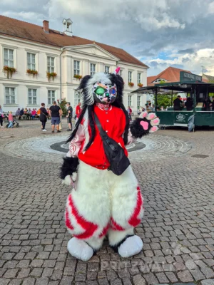 Foto des Albums: Quietschgelbe Enten bevölkerten die Stadt bei den Pritzwalker Herbstlichtern - der Nachmittag