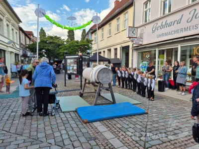 Foto des Albums: Quietschgelbe Enten bevölkerten die Stadt bei den Pritzwalker Herbstlichtern - der Nachmittag