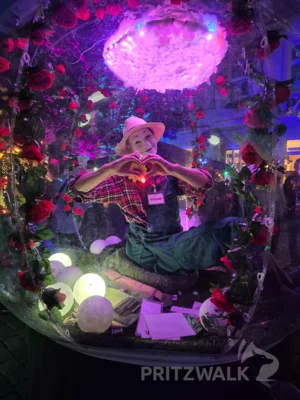 Foto des Albums: Quietschgelbe Enten bevölkerten die Stadt bei den Pritzwalker Herbstlichtern - der Abend