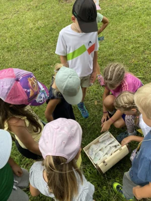 Foto des Albums: Sommerferienprogramm 2025