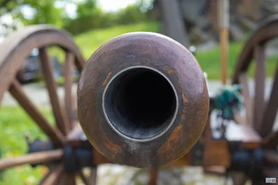 Foto des Albums: 300 Jahre Auerbacher Schützen