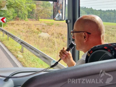 Foto des Albums: Seniorenausflug nach Rheinsberg mit Seefahrt auf dem Grienericksee