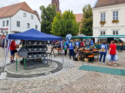 Foto des Albums: PriMa-Treff Erntemarkt mit Kartoffelkunde und Förderverein