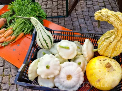 Foto des Albums: PriMa-Treff Erntemarkt mit Kartoffelkunde und Förderverein