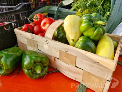 Foto des Albums: PriMa-Treff Erntemarkt mit Kartoffelkunde und Förderverein