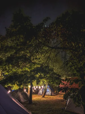 Zeltlager des Klassensprechercamps  (Bild vergr&ouml;&szlig;ern)