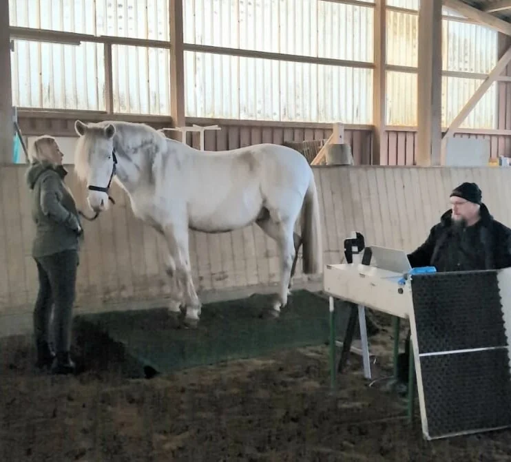 Bild: Ulysse